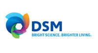 logo-dsm